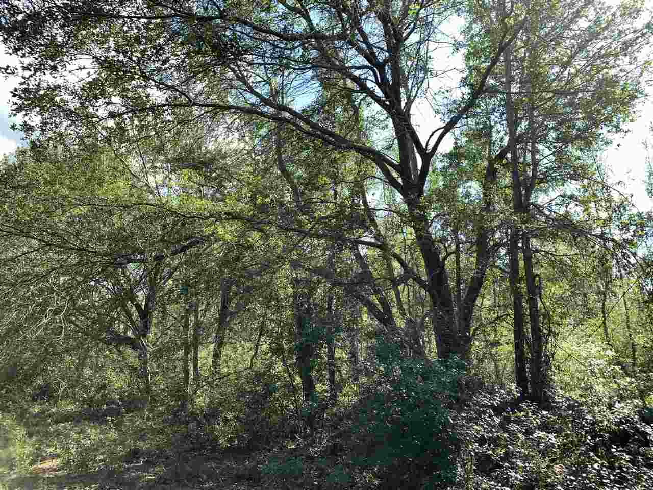 10260 County Road 32 Fairhope, AL 36532 - Photo 13 of 24