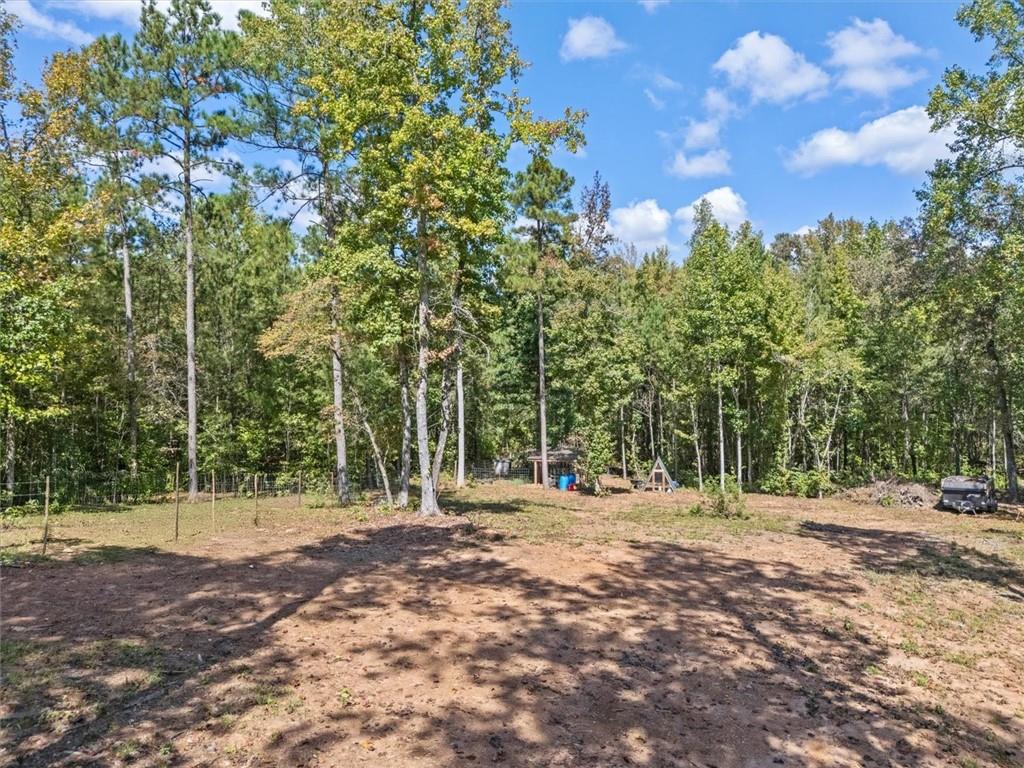 425 Boynton Road Hampton, GA 30228 - Photo 50 of 55