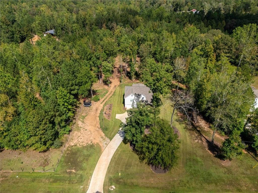 425 Boynton Road Hampton, GA 30228 - Photo 52 of 55