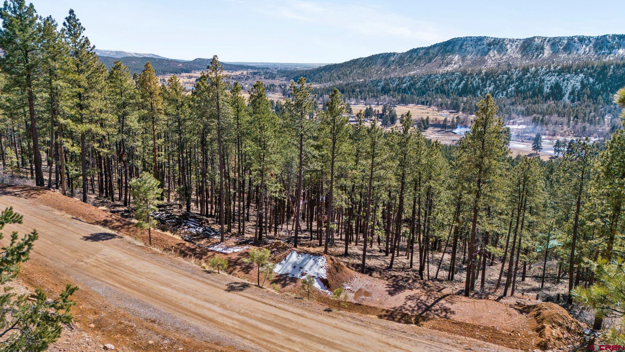 314 Deer Ridge Drive Bayfield, CO 81122 - Photo 1 of 16