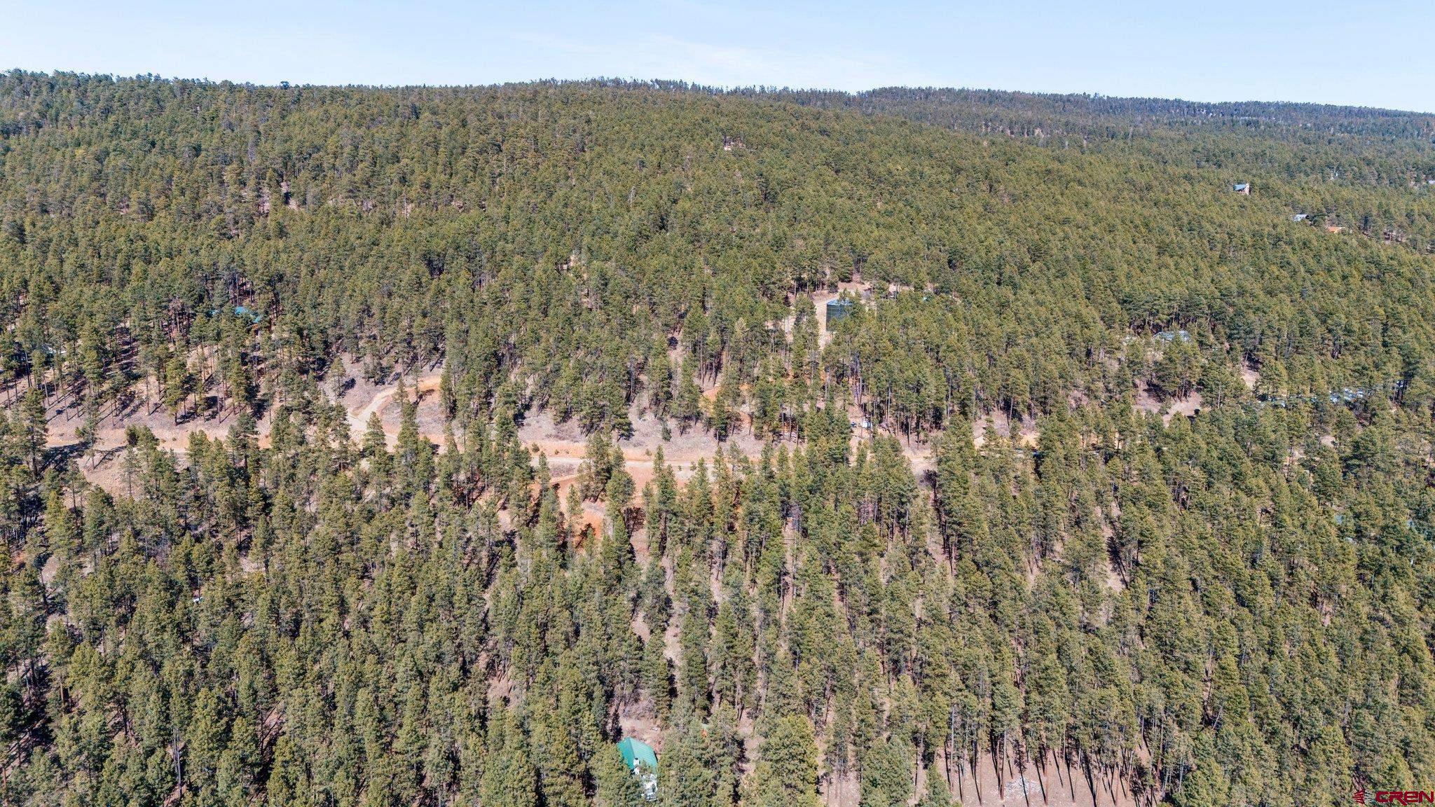 314 Deer Ridge Drive Bayfield, CO 81122 - Photo 13 of 16 a view of a dry yard with mountains in the background