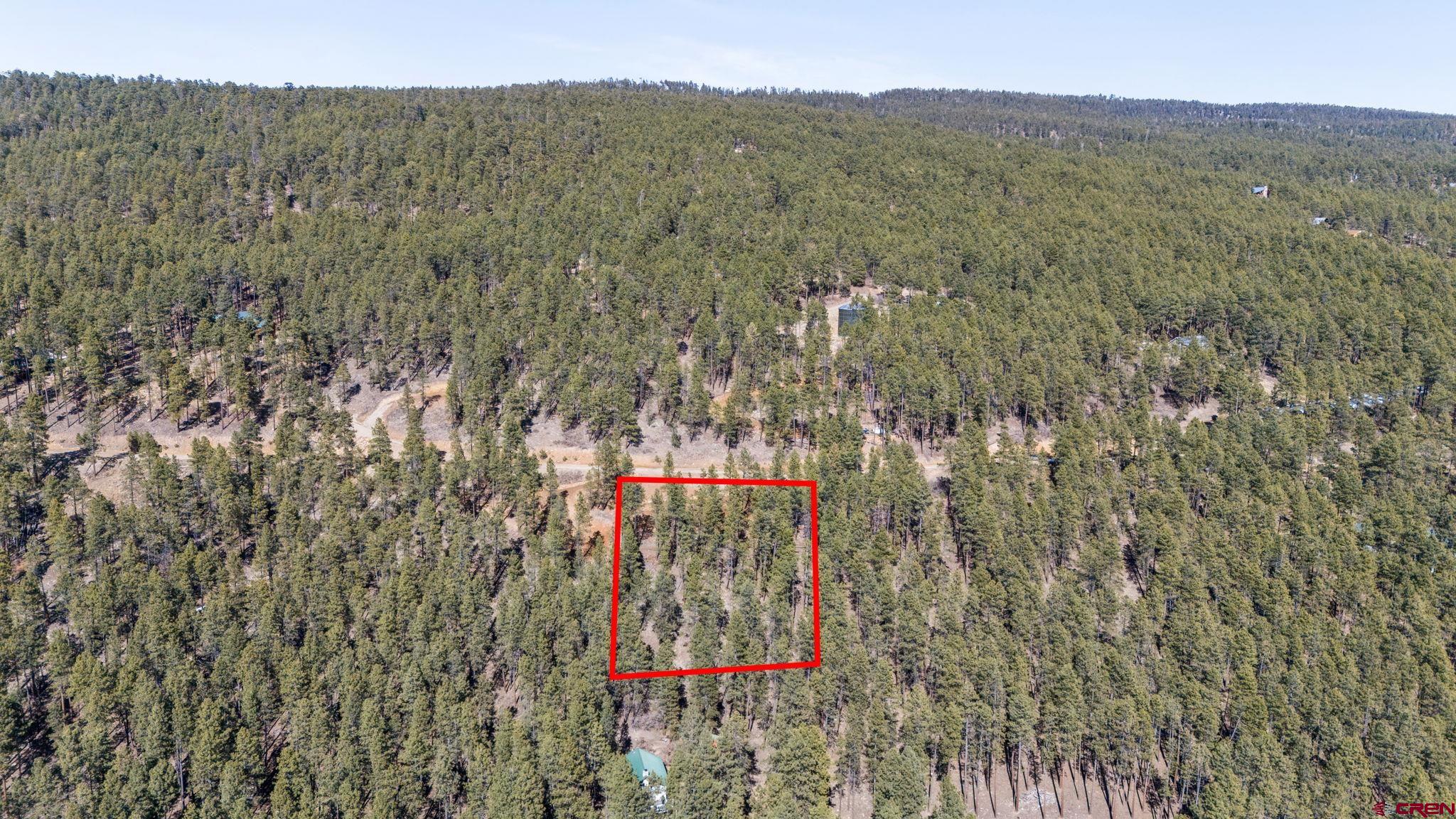 314 Deer Ridge Drive Bayfield, CO 81122 - Photo 14 of 16 a view of a forest with a tree