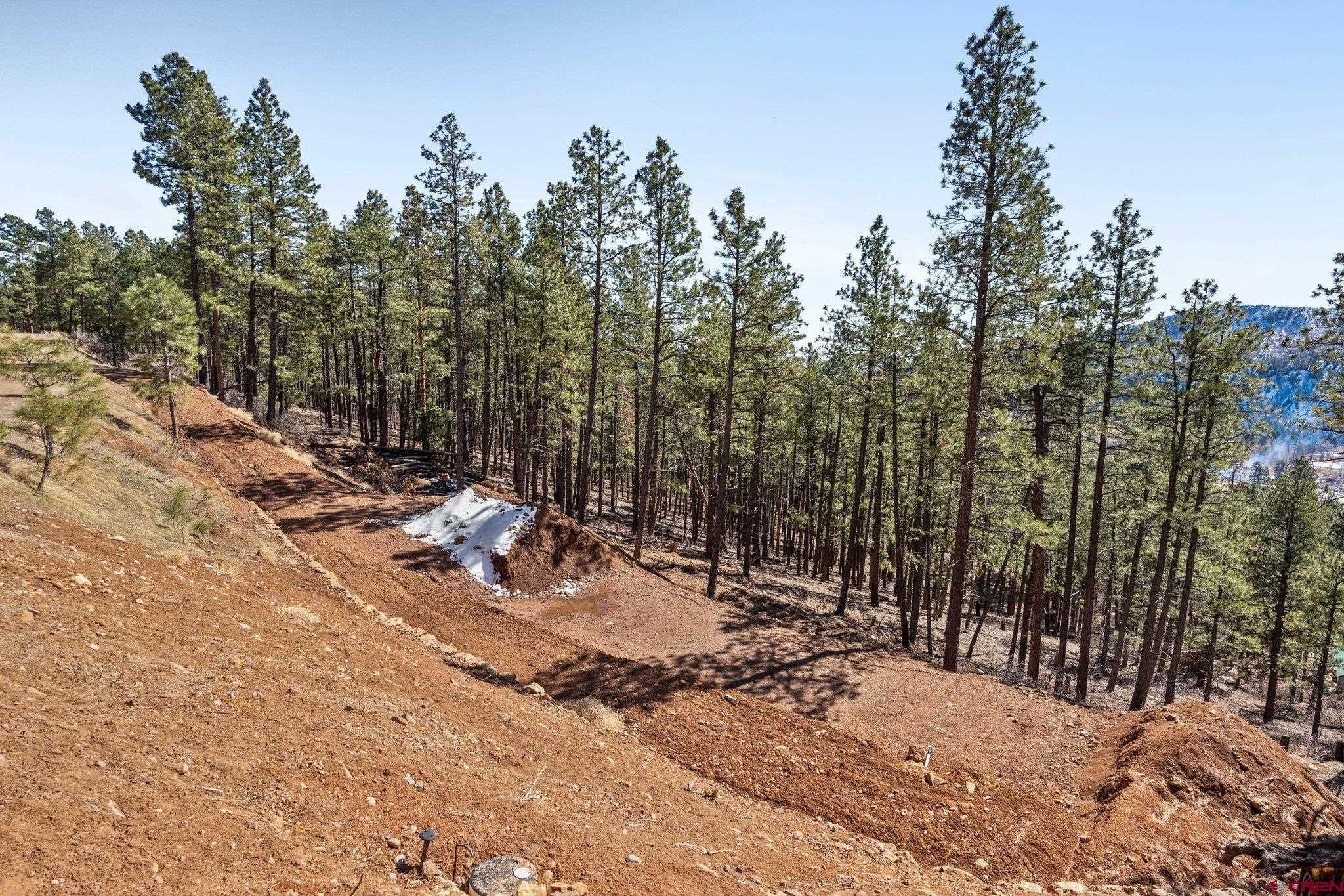 314 Deer Ridge Drive Bayfield, CO 81122 - Photo 3 of 16 a view of outdoor space with trees