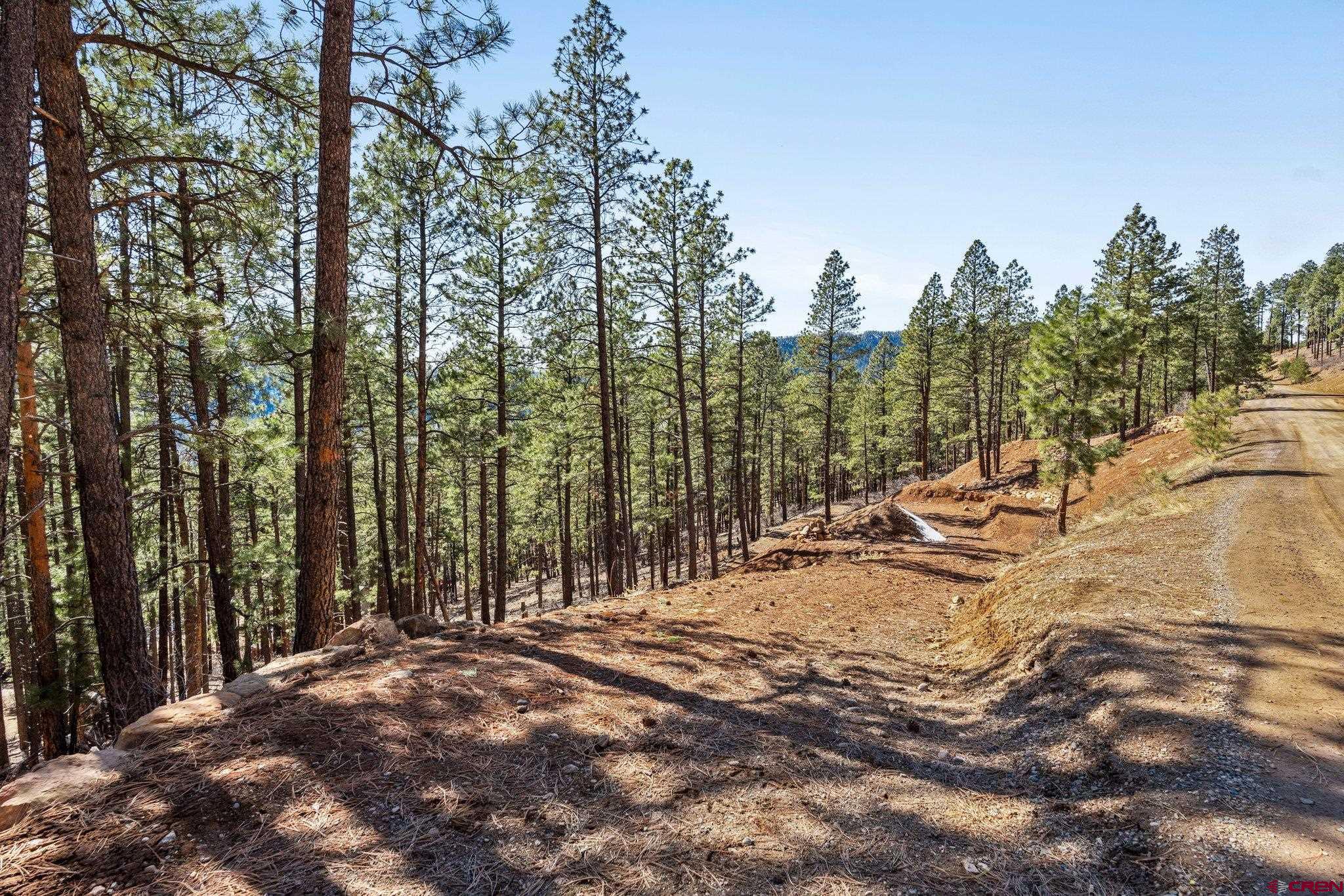 314 Deer Ridge Drive Bayfield, CO 81122 - Photo 4 of 16 a view of outdoor space with trees