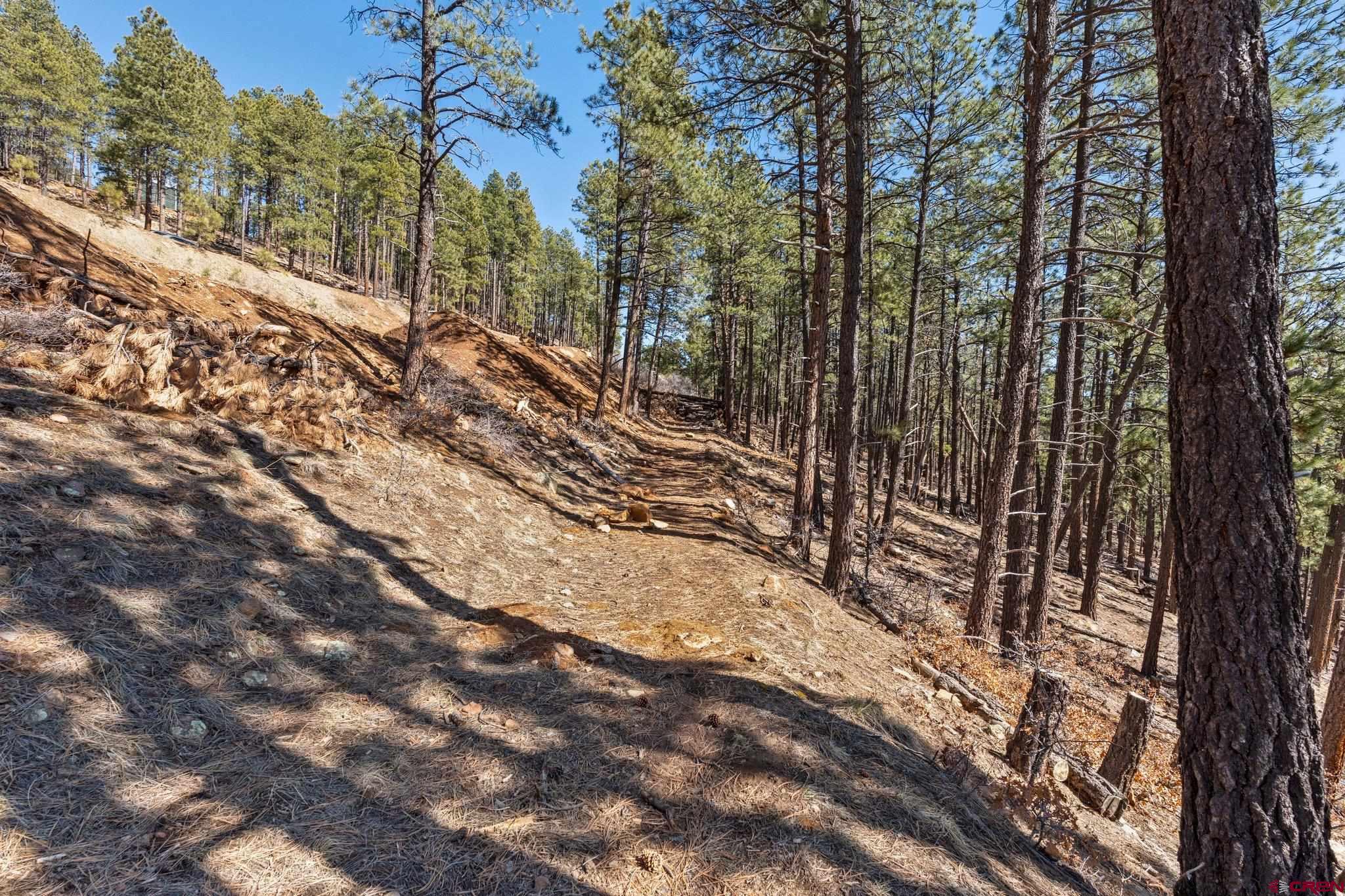 314 Deer Ridge Drive Bayfield, CO 81122 - Photo 6 of 16 a view of a forest with trees in the background