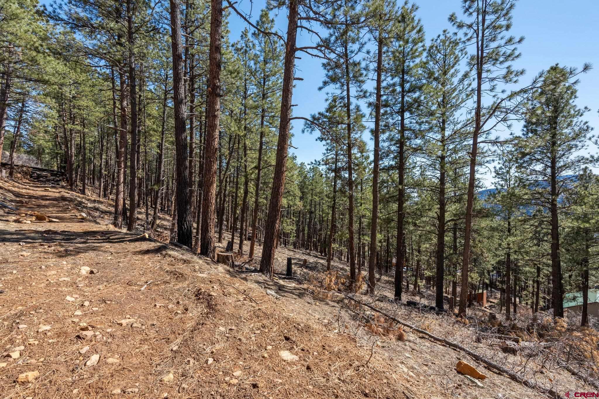 314 Deer Ridge Drive Bayfield, CO 81122 - Photo 7 of 16 a view of outdoor space with trees