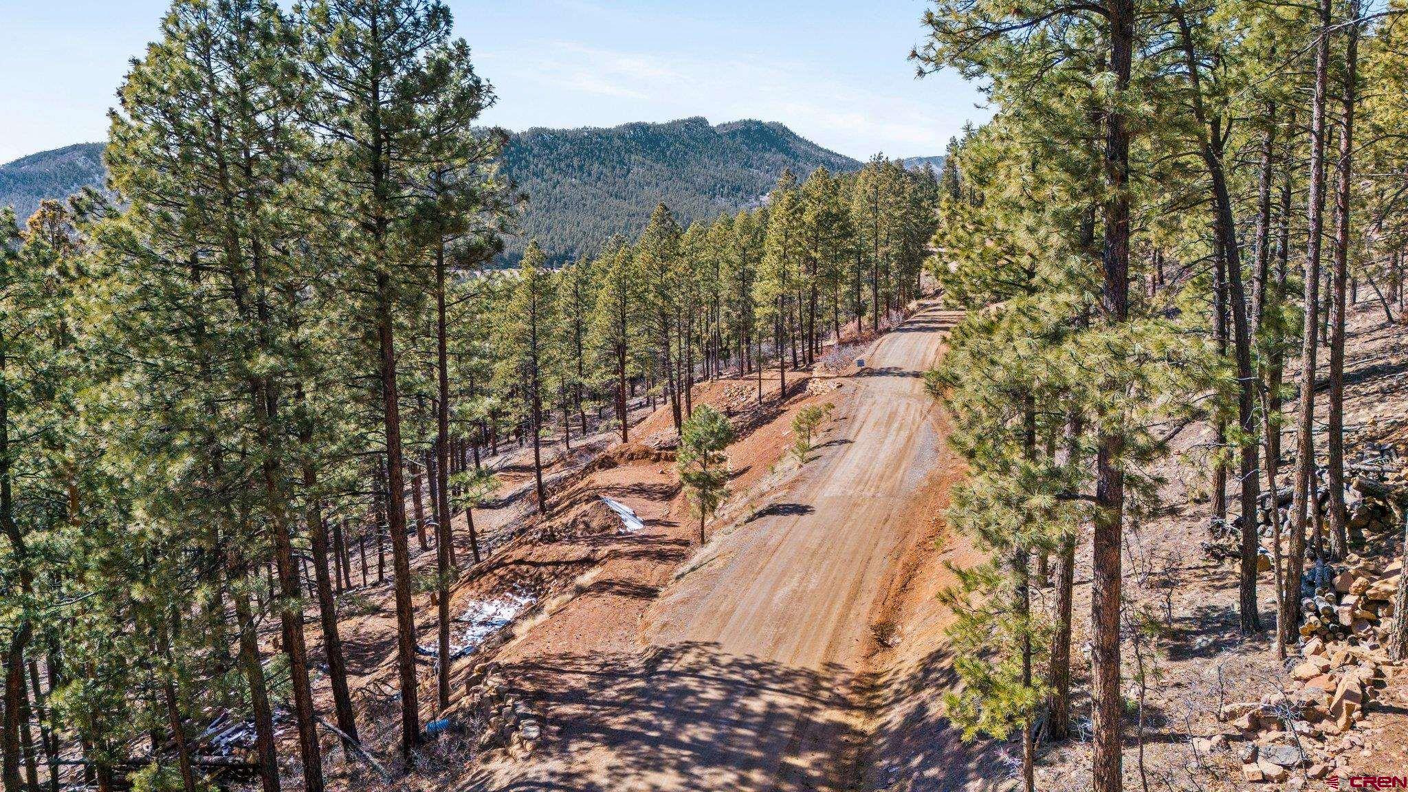 314 Deer Ridge Drive Bayfield, CO 81122 - Photo 10 of 16 a view of mountain view with lots of trees