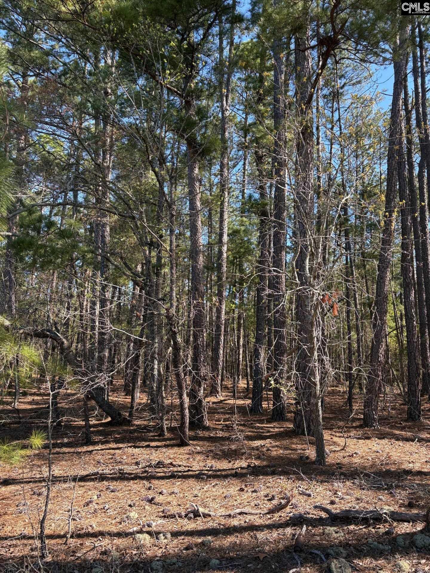 0 East Old Camden Road Hartsville, SC 29550 - Photo 5 of 10