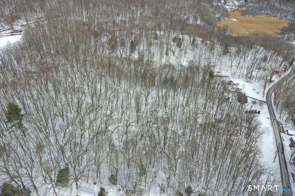 a view of forest