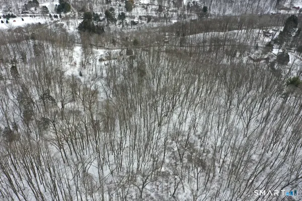 a view of a wooden floor with a mountain in the background