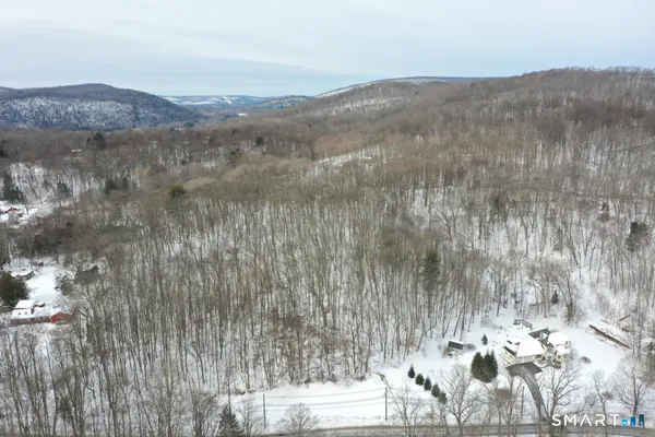 a view of a city from a yard
