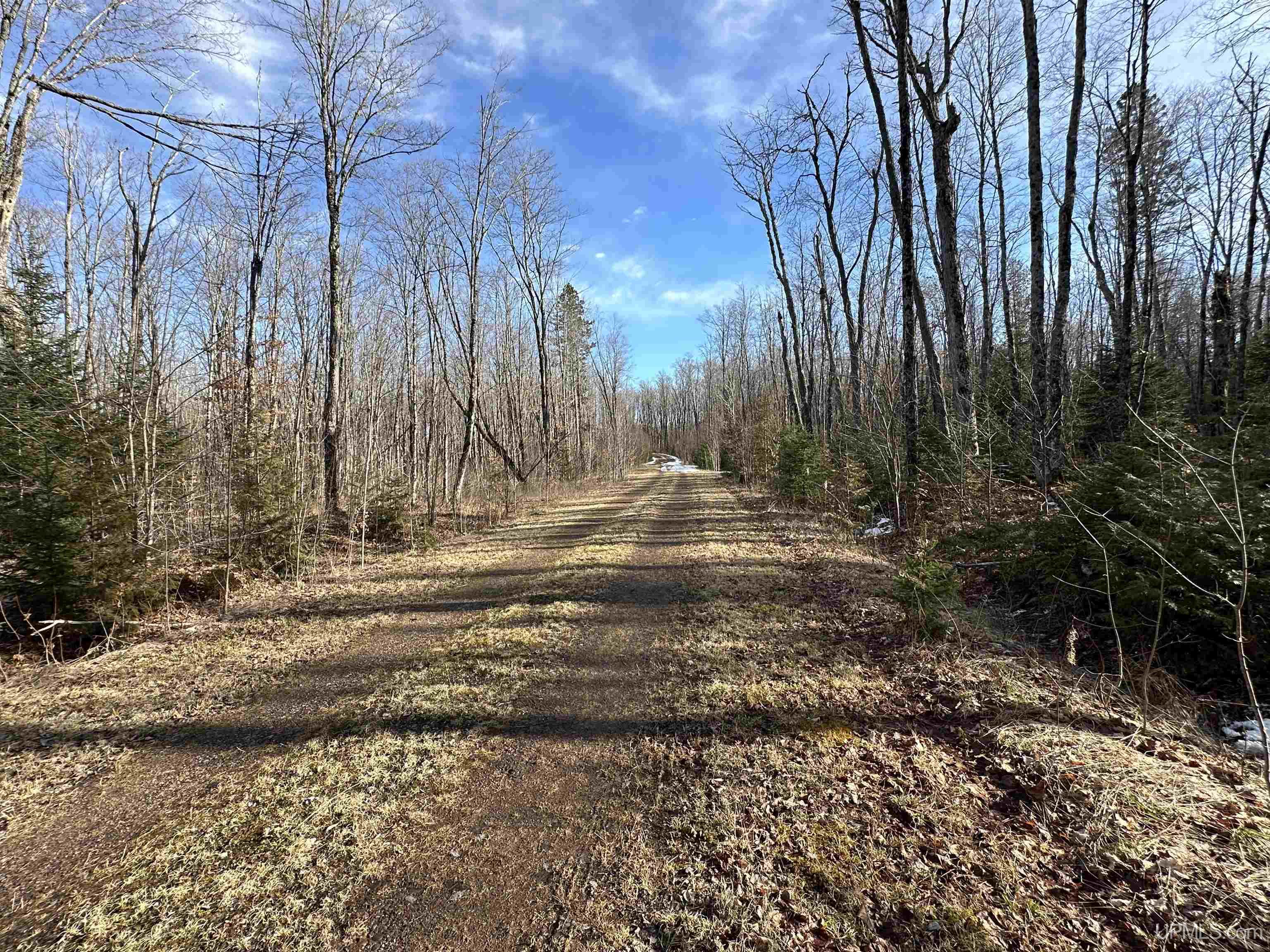 8300 Rd Marenisco Mi 49947 Road Marenisco, MI 49947 - Photo 12 of 13