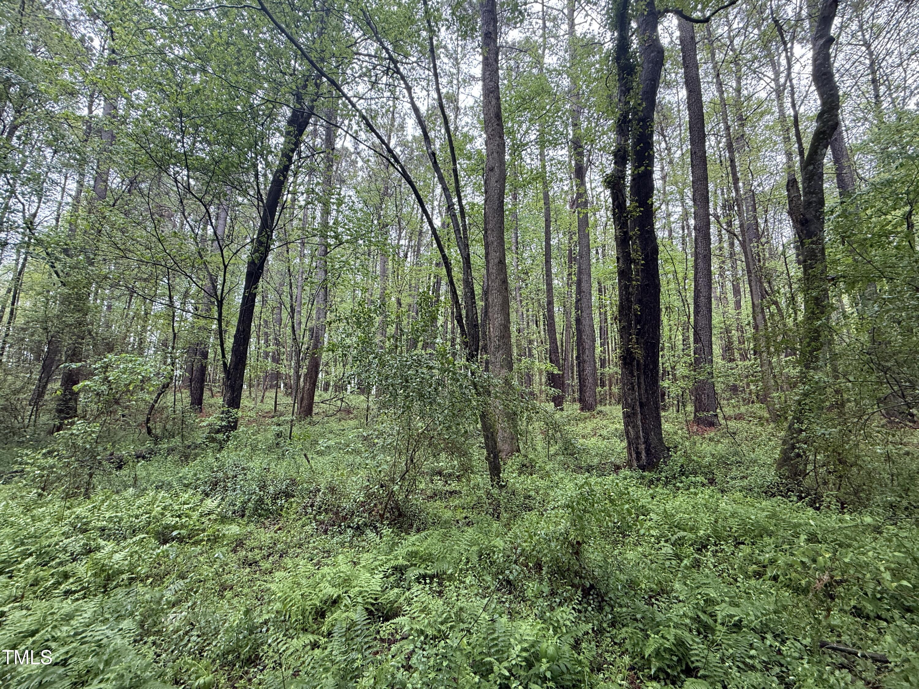 0 Poker Shake Lane Spring Hope, NC 27882 - Photo 11 of 14 Copy of Copy of IMG_5669
