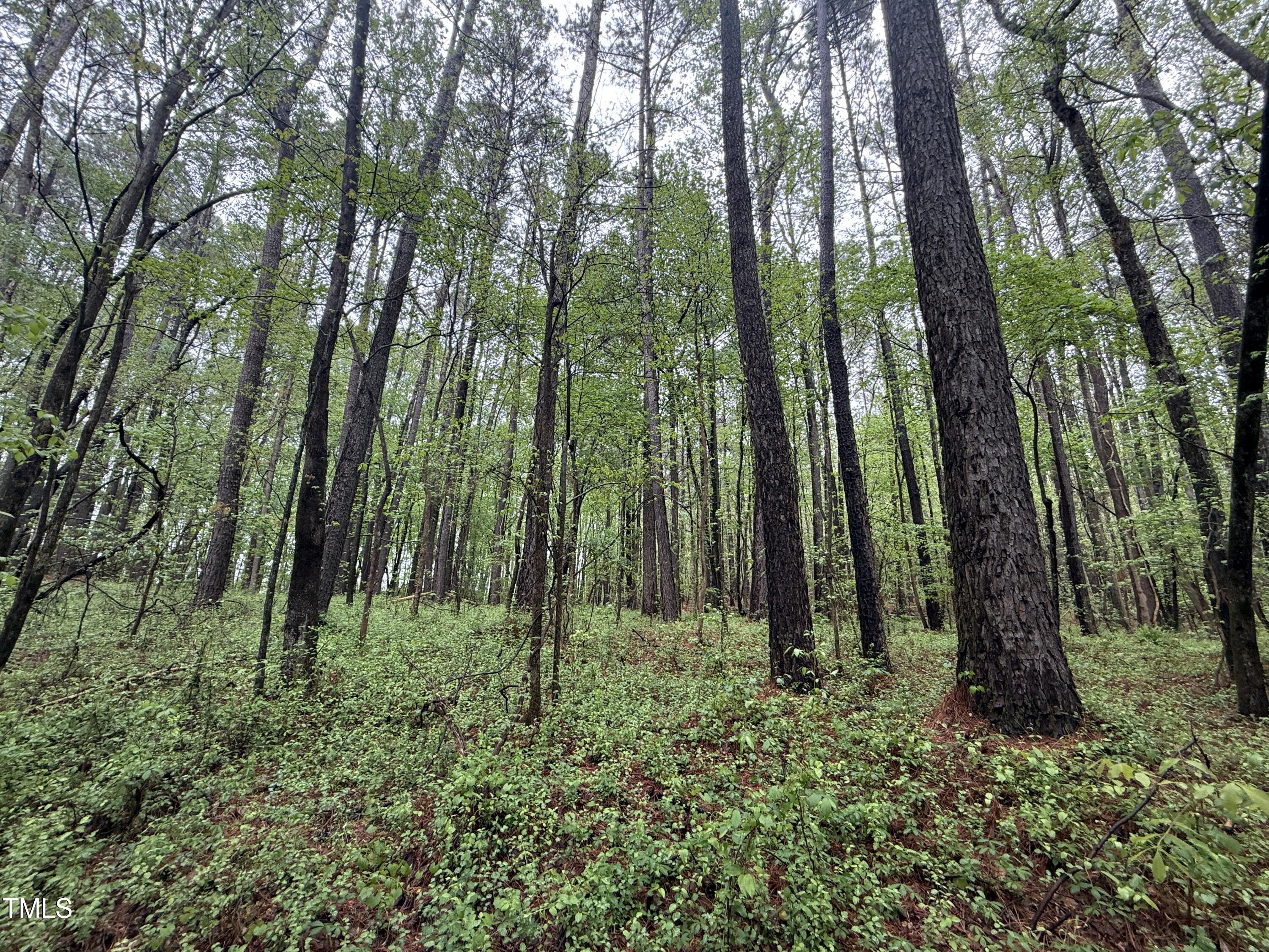 0 Poker Shake Lane Spring Hope, NC 27882 - Photo 12 of 14 Copy of Copy of IMG_5670