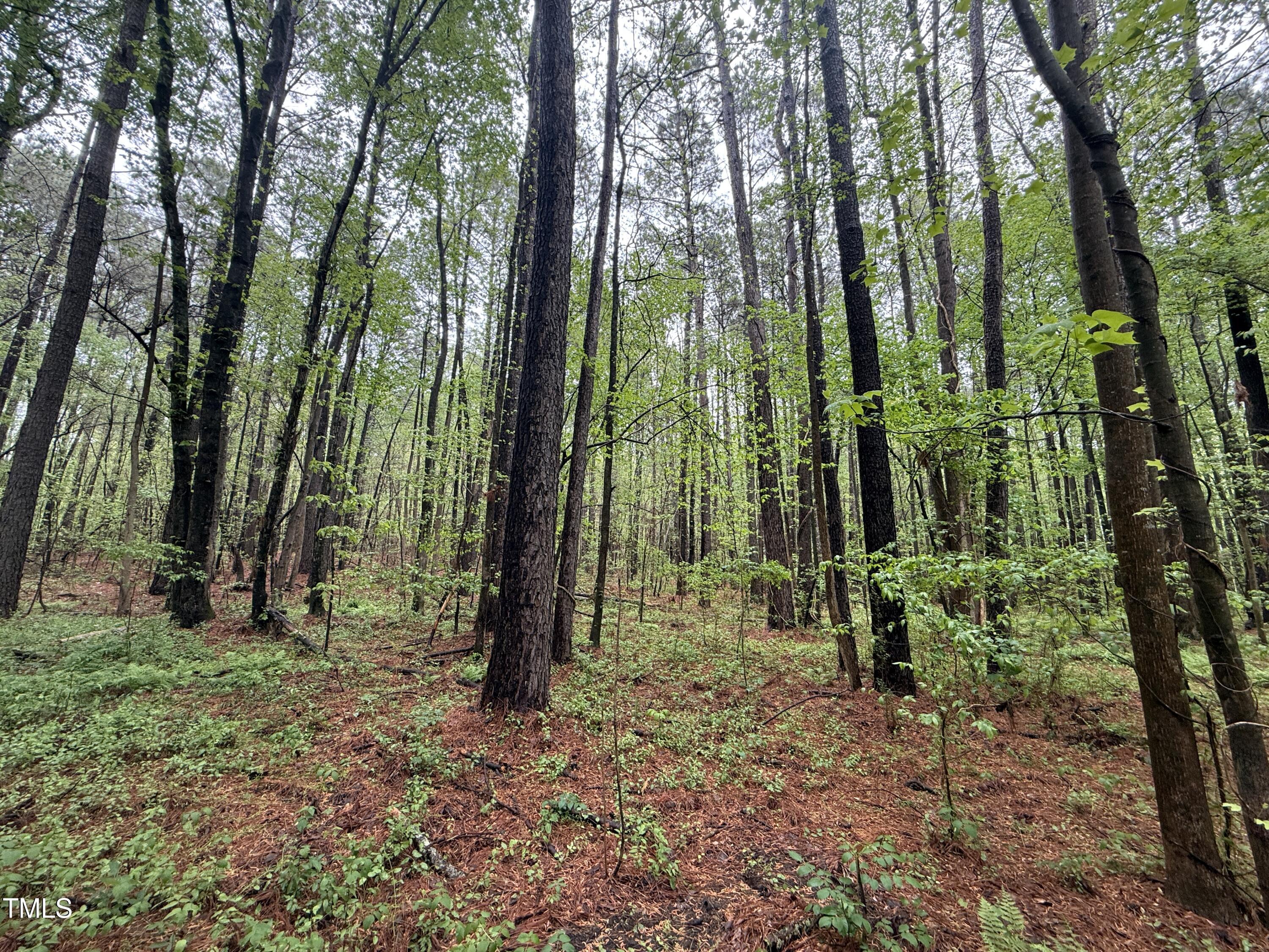 0 Poker Shake Lane Spring Hope, NC 27882 - Photo 13 of 14 Copy of Copy of IMG_5671