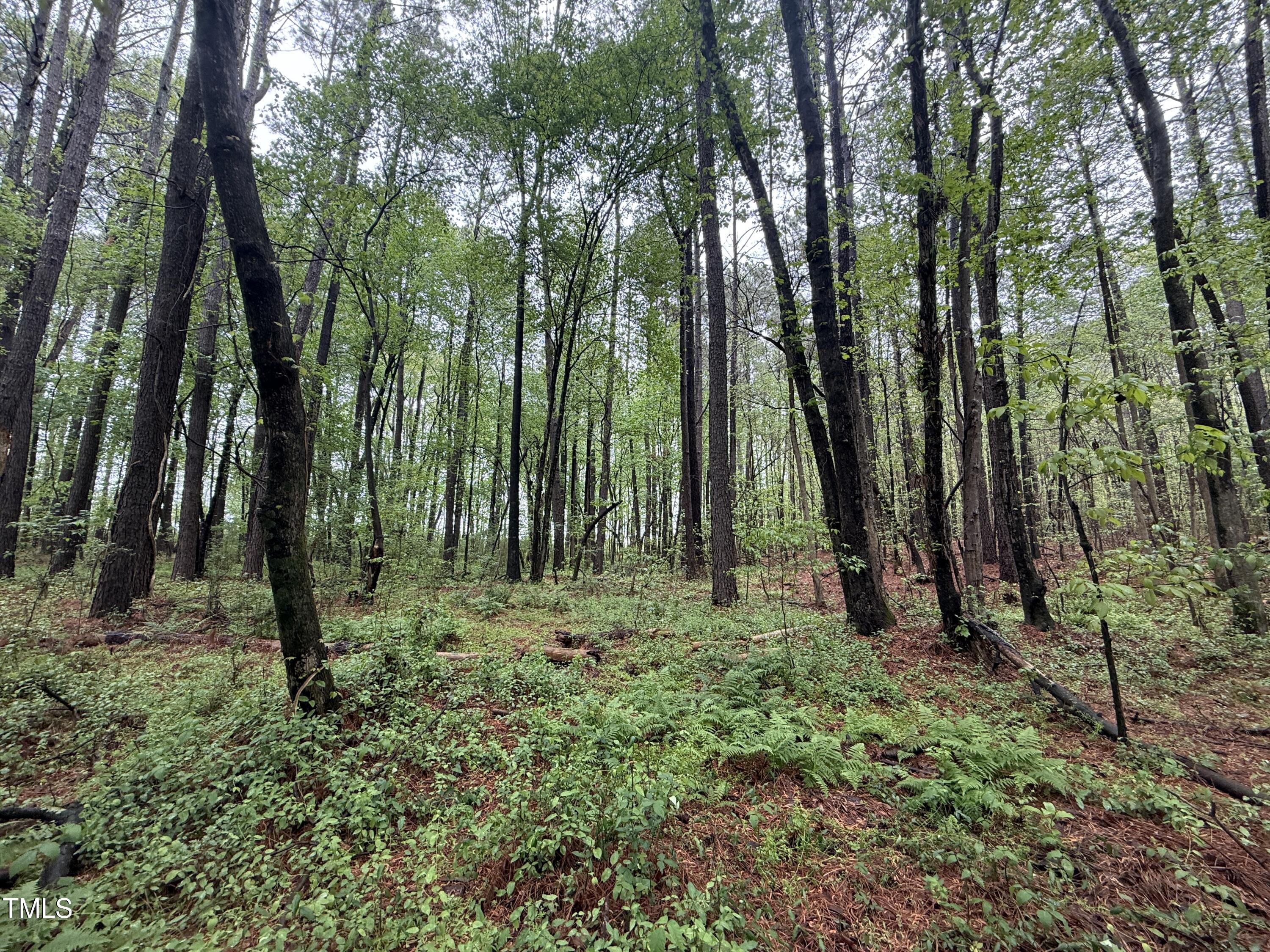 0 Poker Shake Lane Spring Hope, NC 27882 - Photo 14 of 14 Copy of Copy of IMG_5672