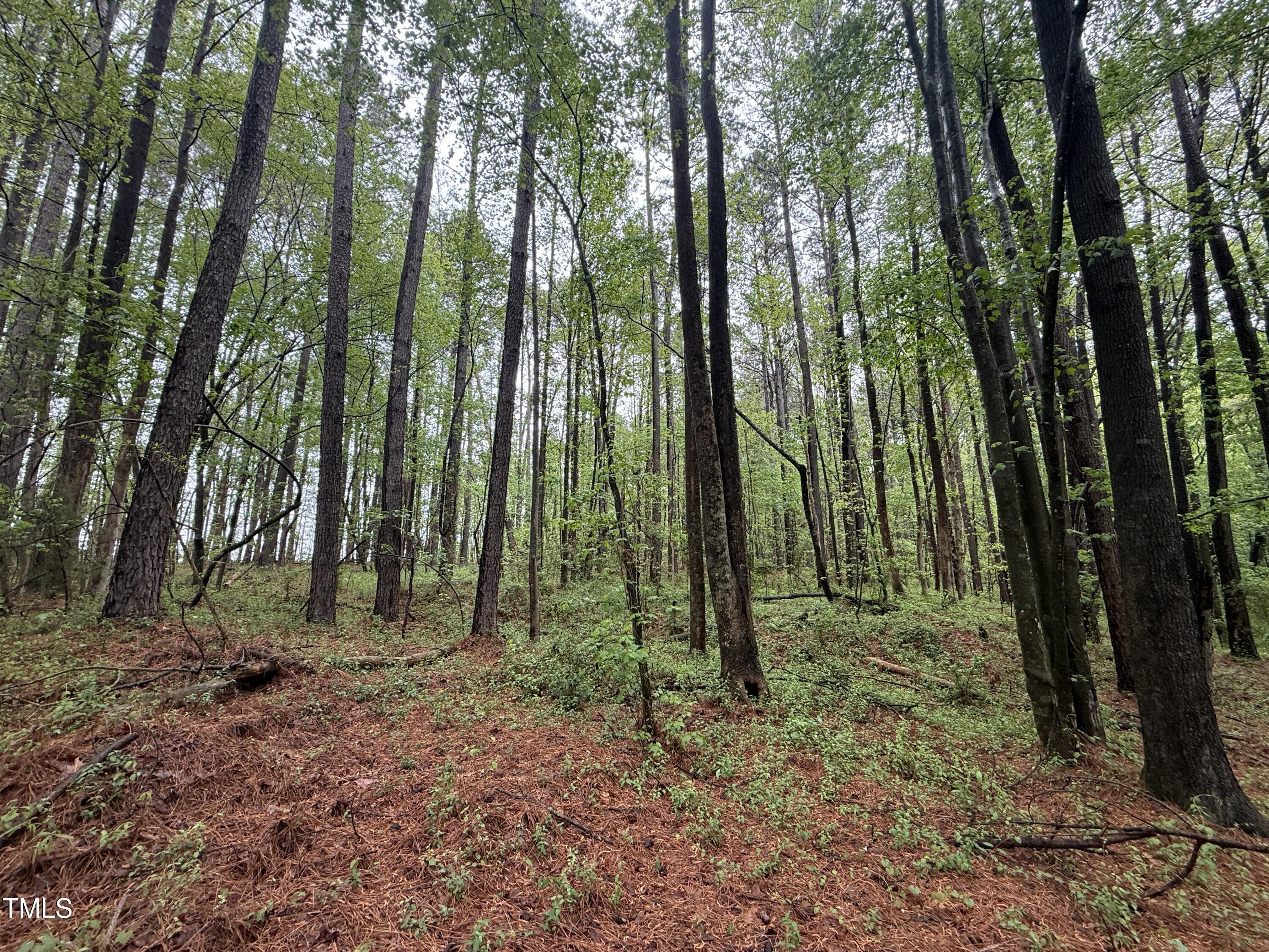 0 Poker Shake Lane Spring Hope, NC 27882 - Photo 4 of 14 Copy of Copy of IMG_5661