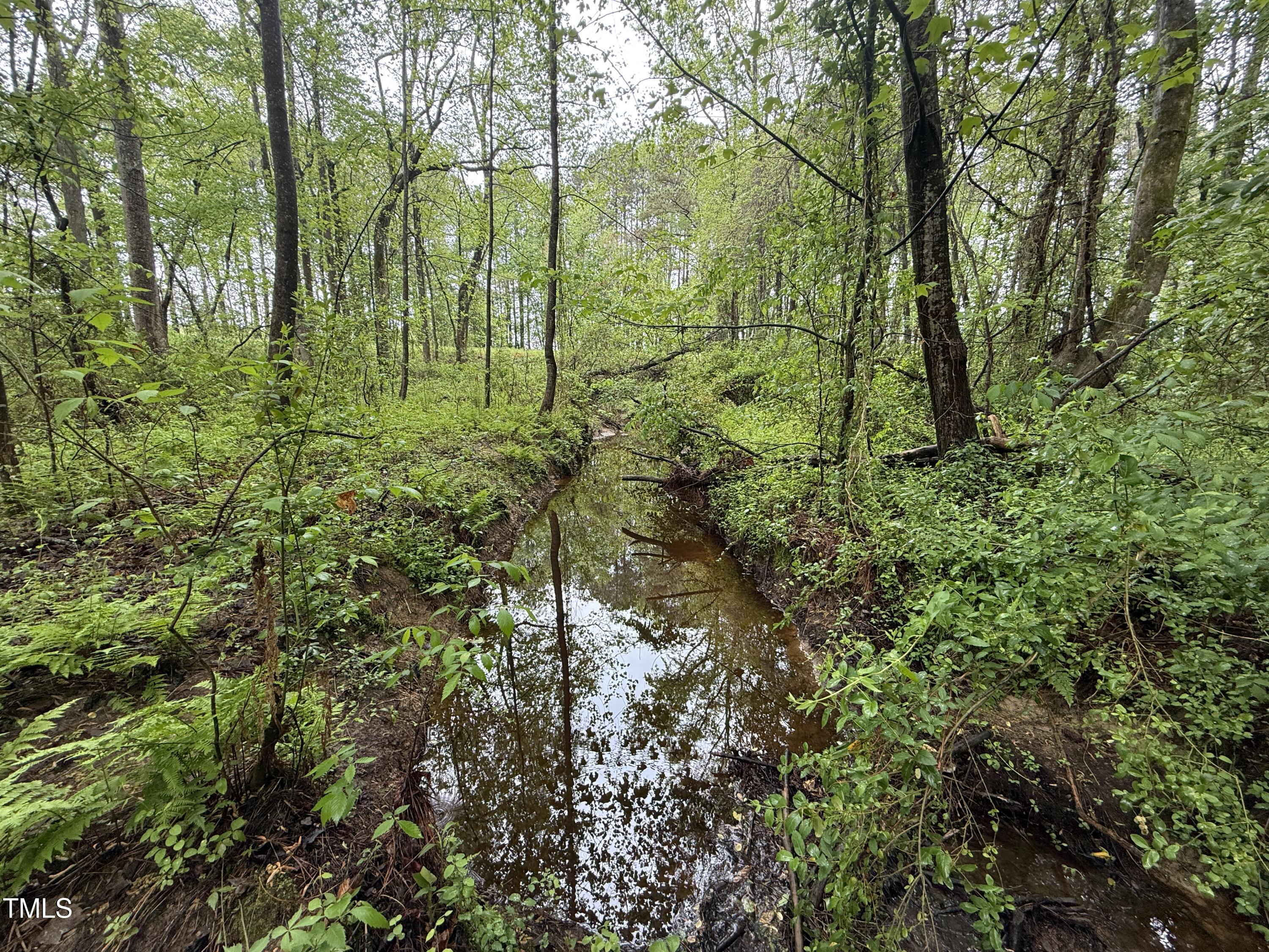 0 Poker Shake Lane Spring Hope, NC 27882 - Photo 5 of 14 04(2)