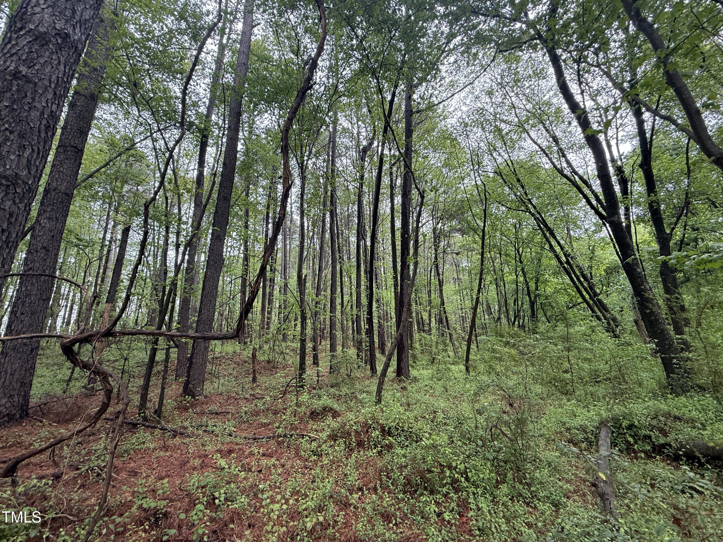 0 Poker Shake Lane Spring Hope, NC 27882 - Photo 8 of 14 Copy of Copy of IMG_5662