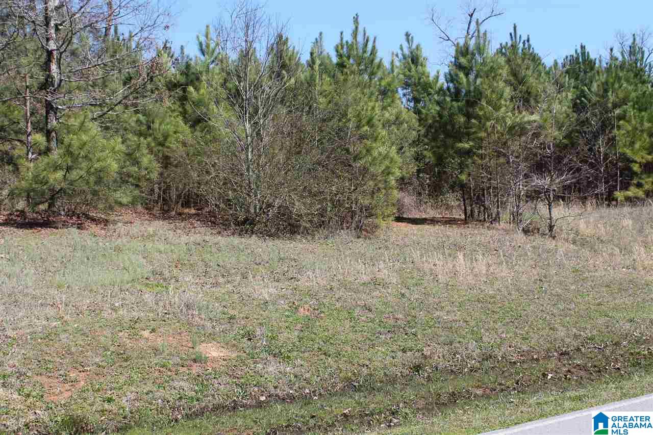 0 Teem Road, Unit 7 Cullman, AL 35057 - Photo 5 of 5