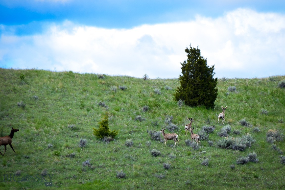 Nhn Patterson Road Butte, MT 59701 - Photo 1 of 1 Gallery Image 1