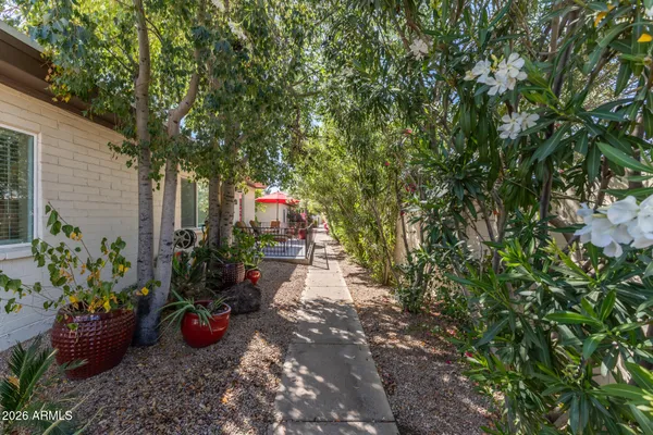 a view of a backyard with potted plants and large trees