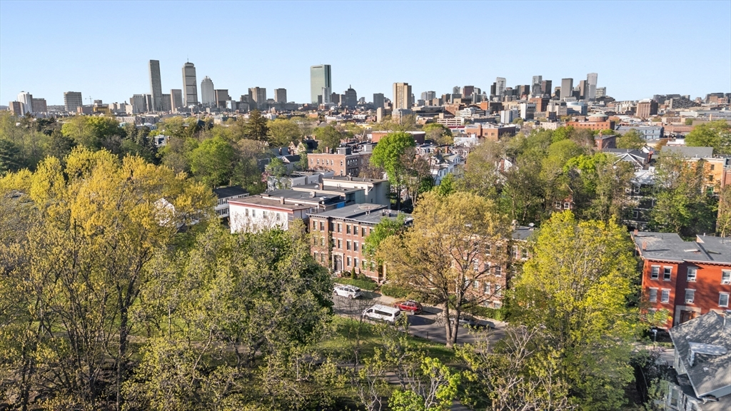 86 Winthrop Street, Unit 1 Boston, MA 02119 - Photo 41 of 41