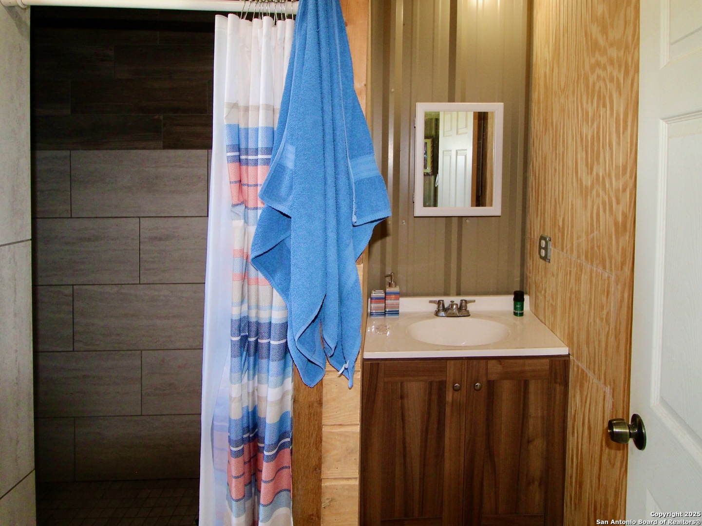 12365 Rudolph Road, Unit 3 Atascosa, TX 78002 - Photo 40 of 42 a bathroom with a sink and a mirror