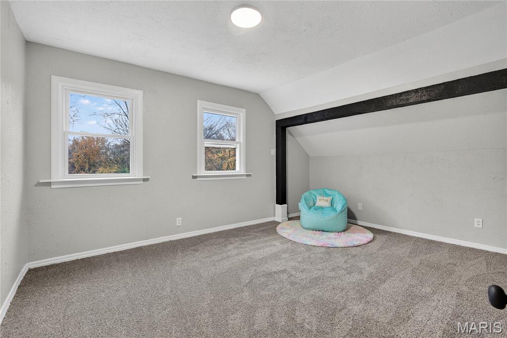 8811 North Avenue St. Louis, MO 63114 - Photo 22 of 41