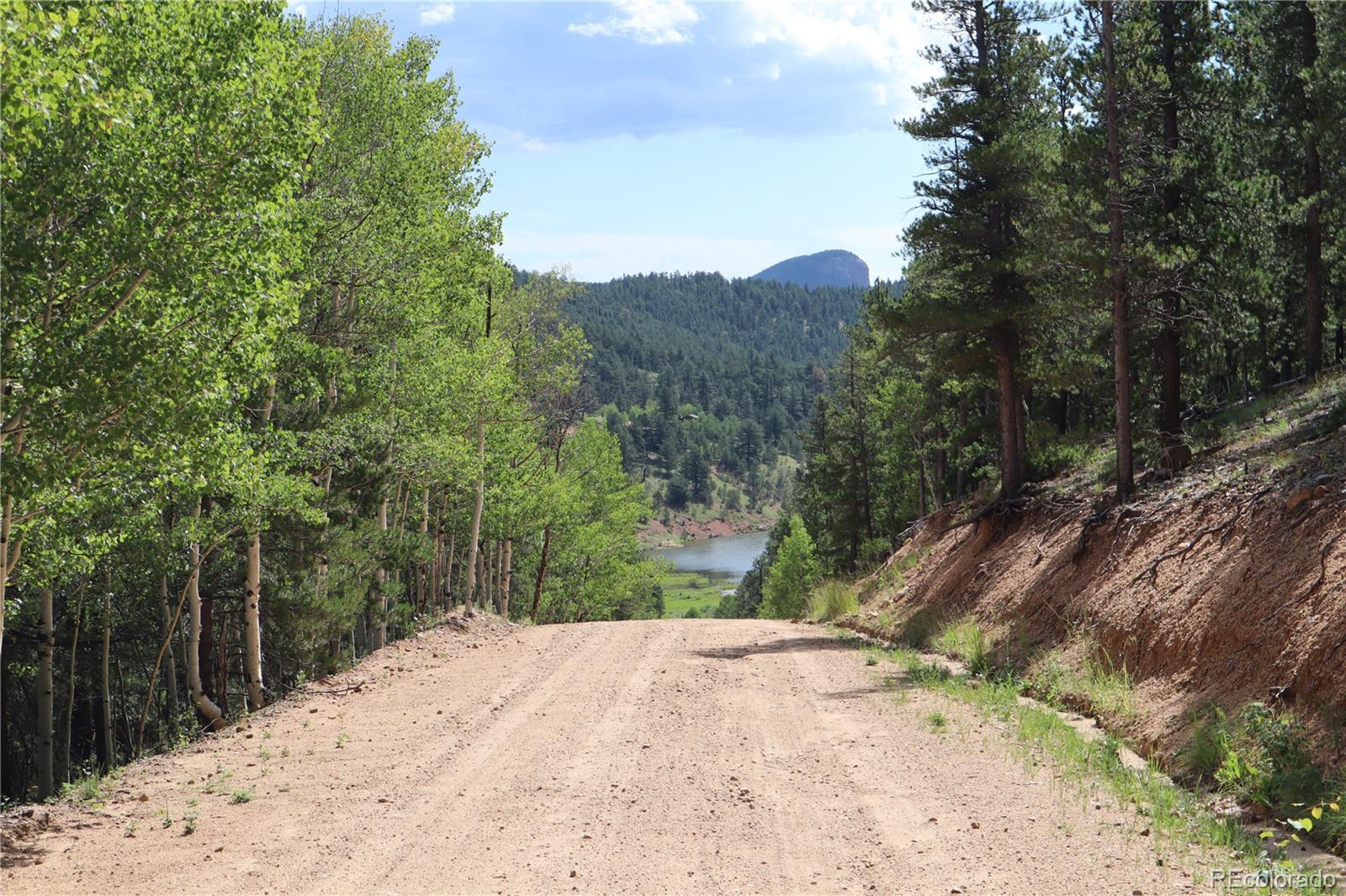 430 Lakeview Road Bailey, CO 80421 - Photo 2 of 10 a view of a backyard with potted plants and large trees