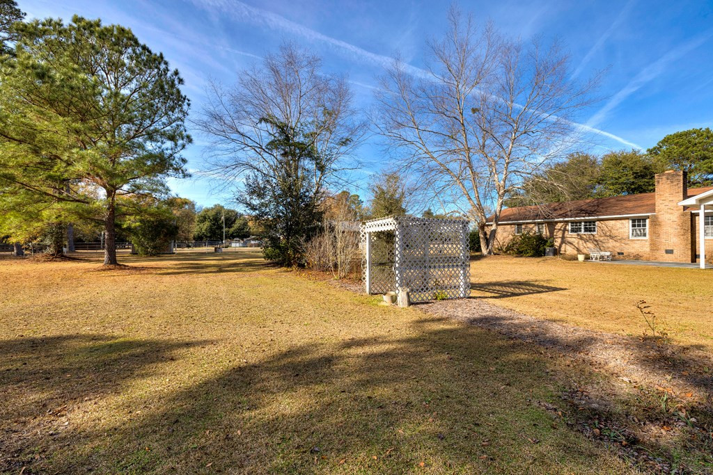 2823 State Rd S-14-401 Alcolu, SC 29001 - Photo 39 of 43 Gallery Image 39