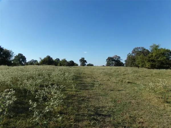 a view of a field