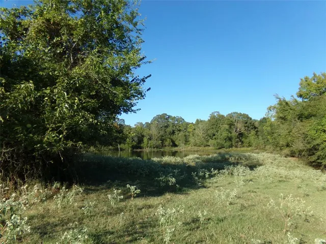 a view of an outdoor space and a yard