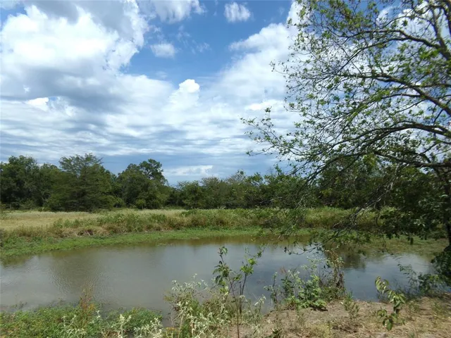a view of a big yard with plants and large trees