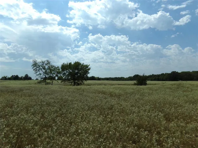 a view of a lake in middle of forest