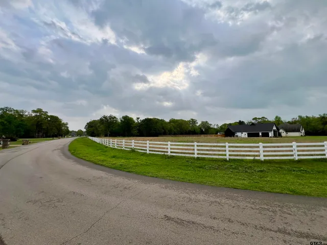 a view of a yard and a big yard
