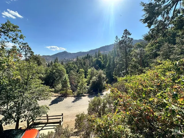 a view of a yard with a tree