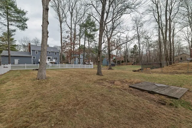 a view of a park with tree s