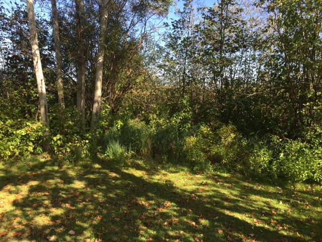 Tbd Lost Lake Road Barryton, MI 49305 - Photo 4 of 5 1840013-3.JPG