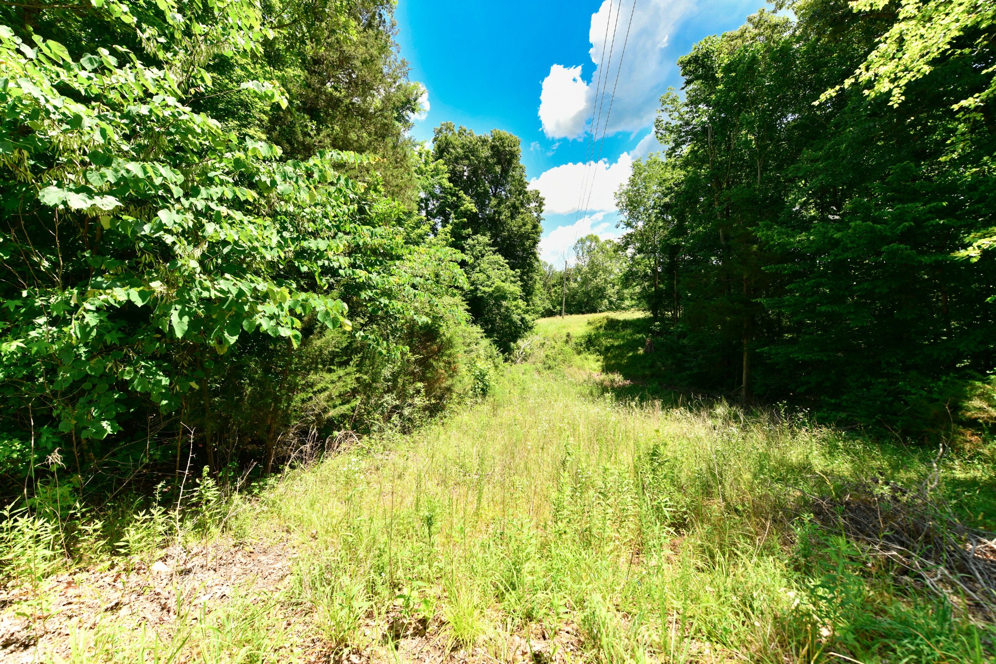 508 Gunson Ridge Road Cumberland City, TN 37050 - Photo 15 of 56 a view of a garden
