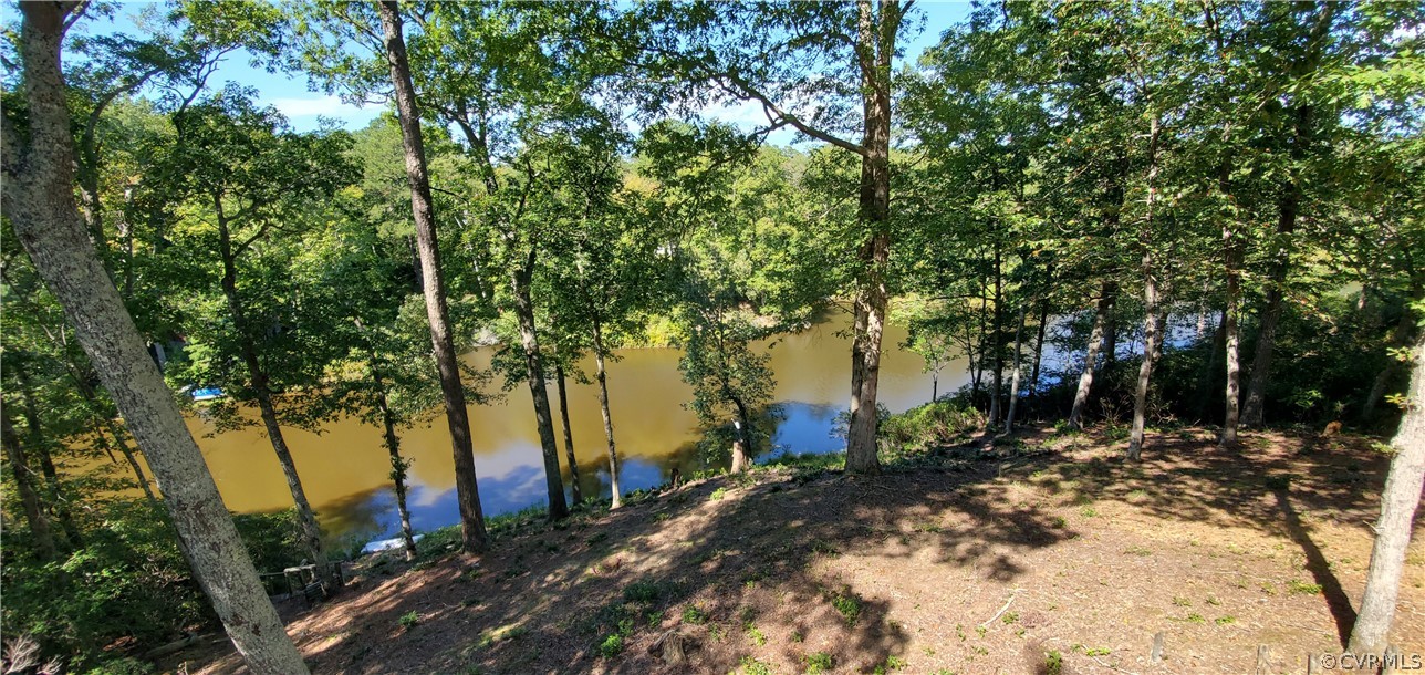 347 Hickory Road Lancaster, VA 22503 - Photo 37 of 48 a view of outdoor space with trees