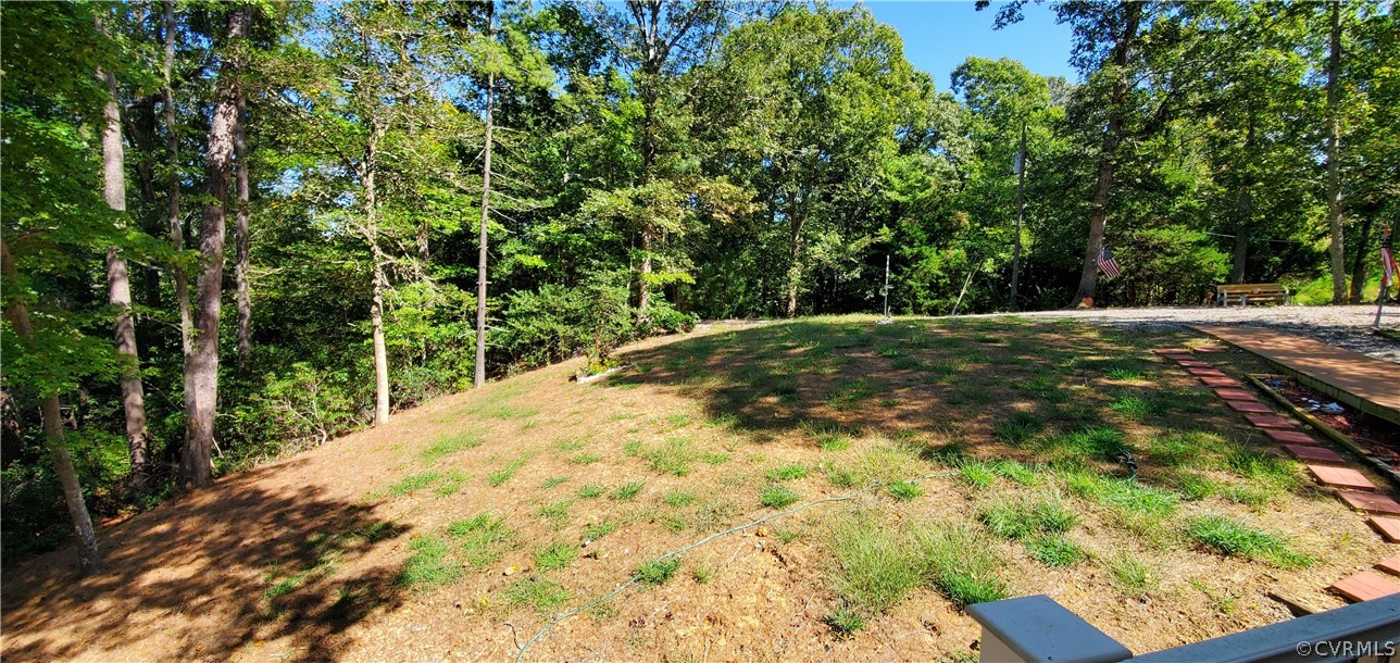 347 Hickory Road Lancaster, VA 22503 - Photo 41 of 48 a view of a yard with plants and large trees