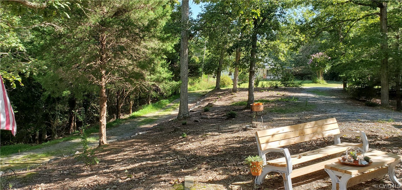 347 Hickory Road Lancaster, VA 22503 - Photo 43 of 48 a view of a yard with plants and trees