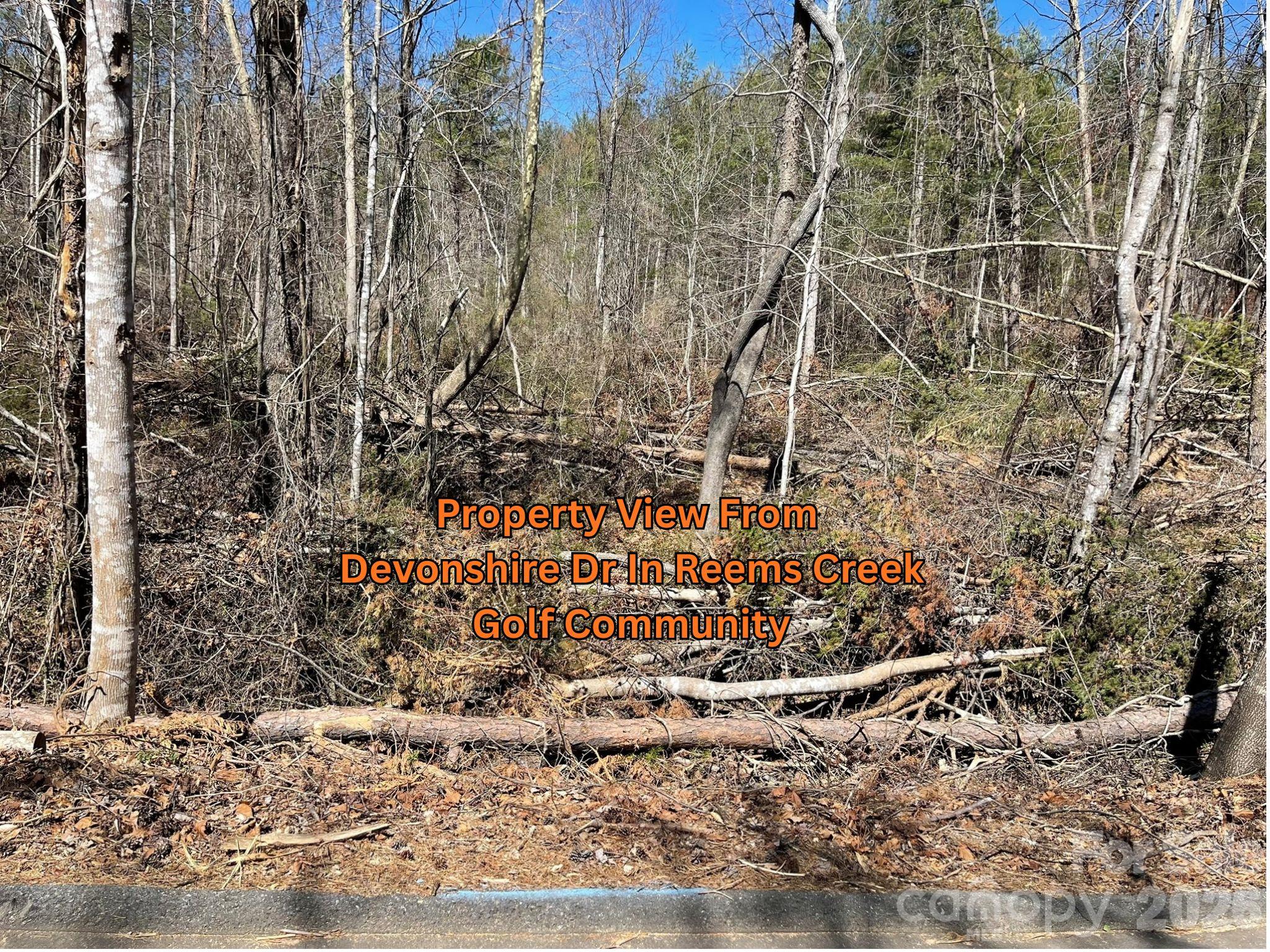81 Union Chapel Road Weaverville, NC 28787 - Photo 11 of 21 Gallery Image 11