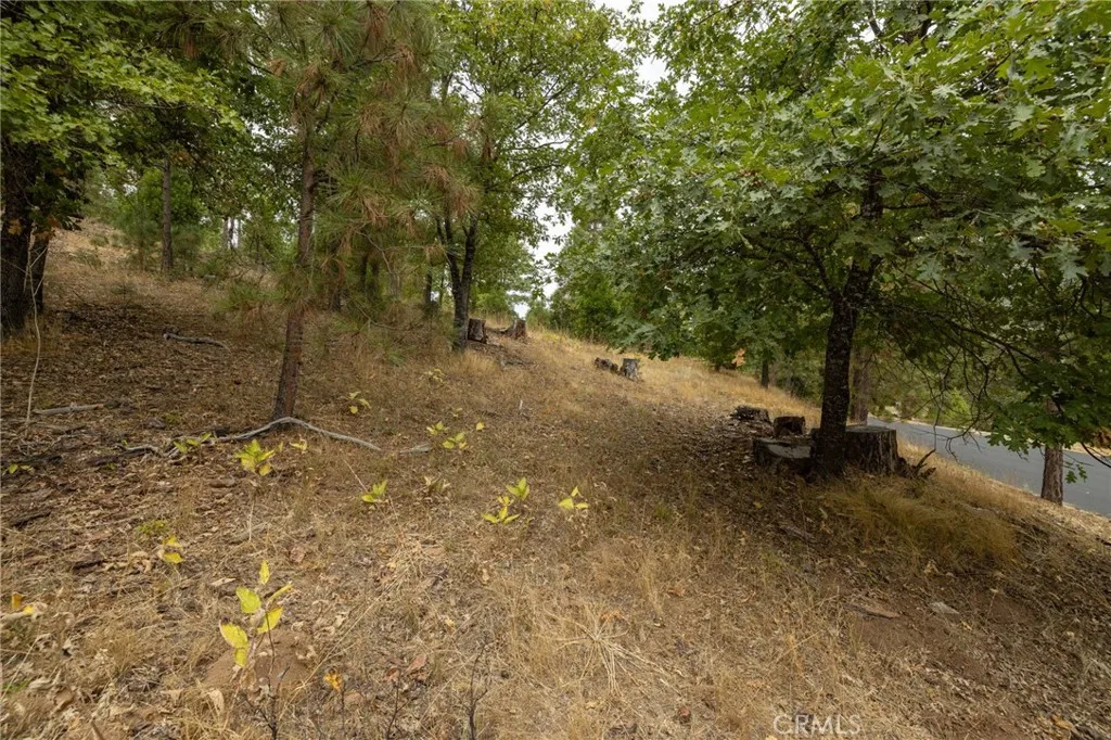 26 Timberview Road North Fork, CA 93643 - Photo 34 of 60