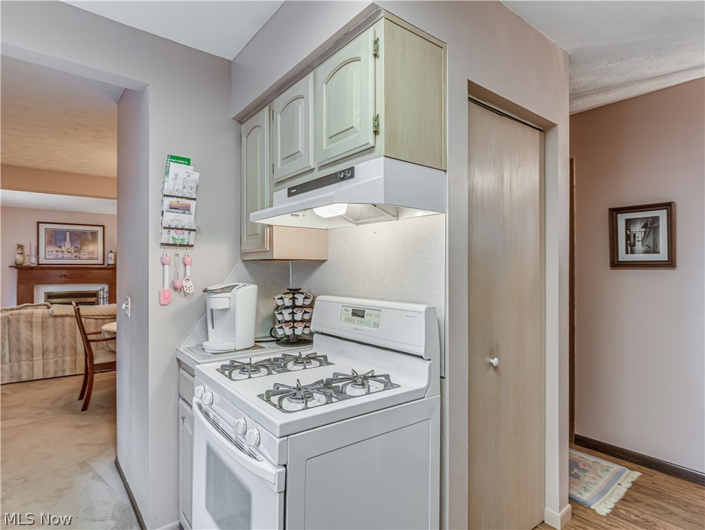 245 Perry Drive Northwest Canton, OH 44708 - Photo 13 of 25 Kitchen with pantry.