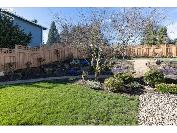 a view of a backyard with potted plants and large tree
