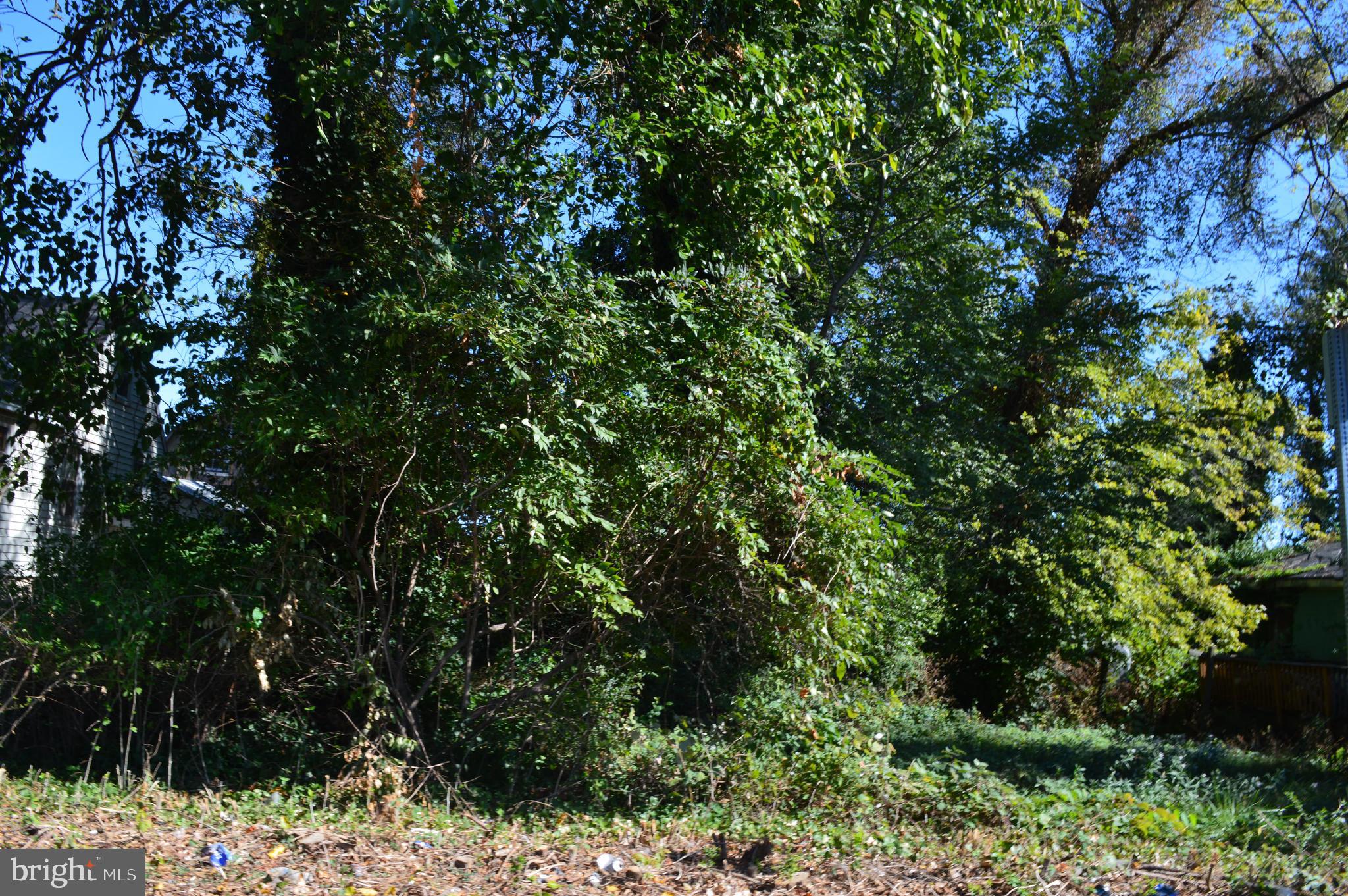 Old Fredericksburg Road Culpeper, VA 22701 - Photo 2 of 3