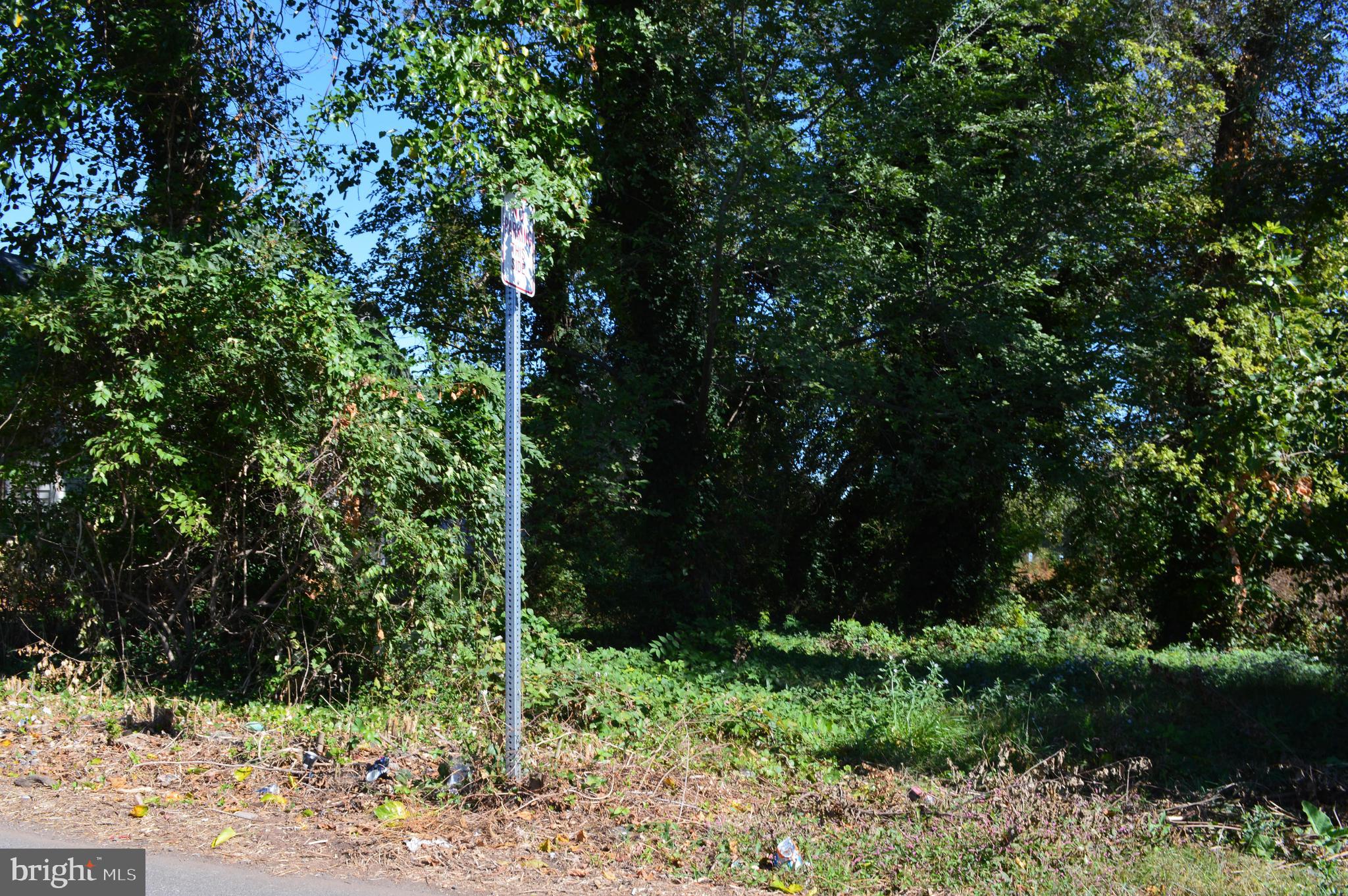Old Fredericksburg Road Culpeper, VA 22701 - Photo 3 of 3