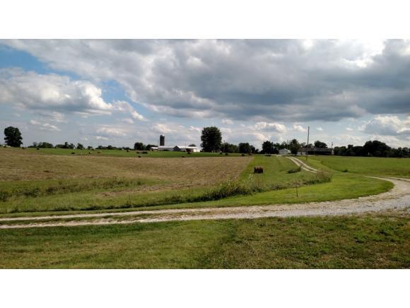 7272 Highway 56 Rising Sun, IN 47040 - Photo 24 of 24